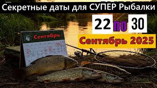 Прогноз клева рыбы на неделю с 22 по 30 Сентября 2025 Календарь клева рыбы Лунный календарь рыбака