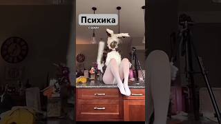 Психическое здоровье