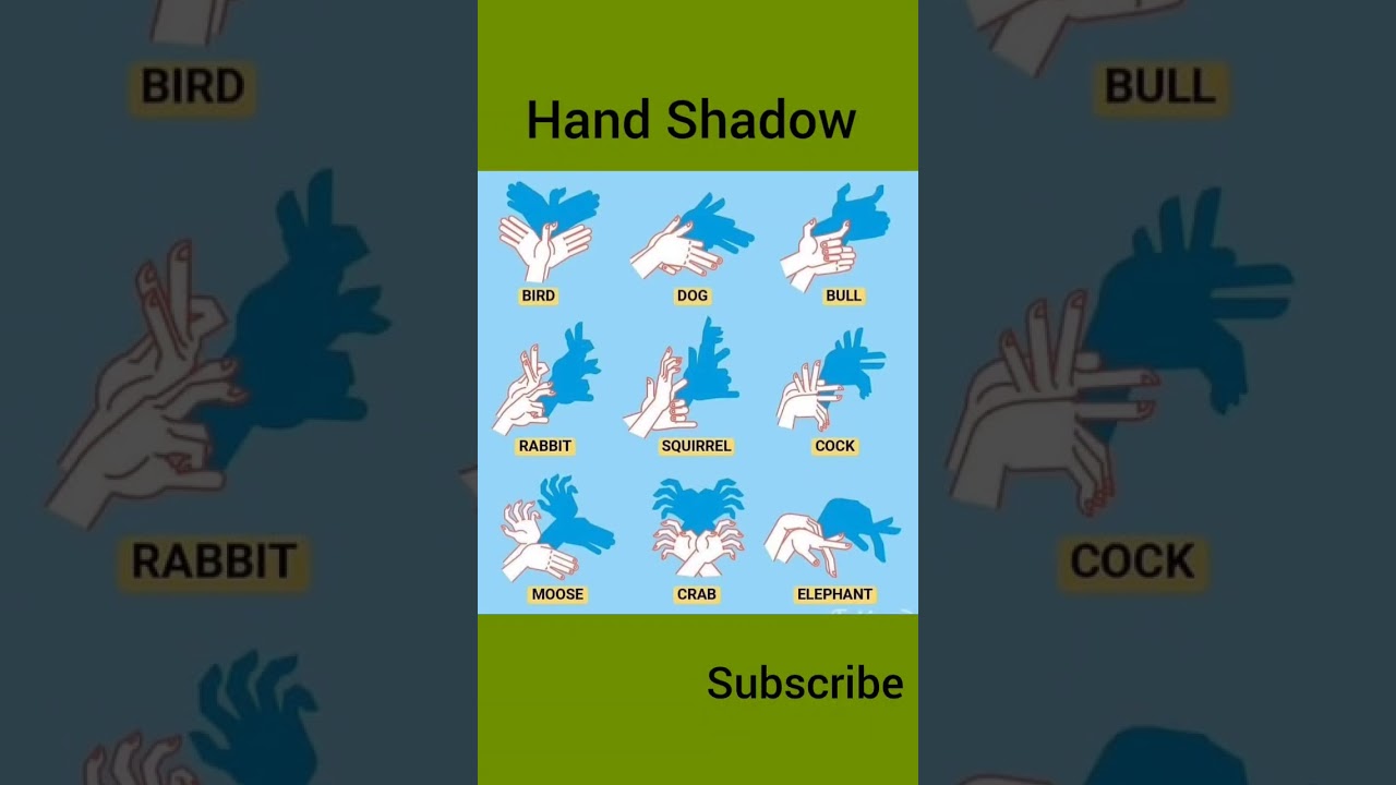 Hand shadow magic 