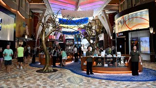 Royal Caribbean Oasis of the Seas Inside / Interior Guided Walking Tour