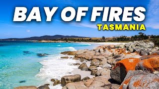 Discovering MILLION DOLLAR VIEWS for Free: East Coast Tasmania Camping