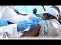 WHO declares international health emergency over rare strain of Ebola in DRC and Uganda