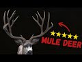 Five Star Mule Deer High Fitness - Nez Perce - Way of the Hunter