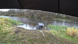 видео: ЛОВЛЯ ФИДЕРОМ НА РЕКЕ БЕРЕЗИНА ПОЗДНЕЙ ОСЕНЬЮ. РАЗВЕДКА НОВЫХ МЕСТ В НЕПОГОДУ. ТРОФЕЙНЫЙ ЯЗЬ 2025 картинка: ЛОВЛЯ ФИДЕРОМ НА РЕКЕ БЕРЕЗИНА ПОЗДНЕЙ ОСЕНЬЮ. РАЗВЕДКА НОВЫХ МЕСТ В НЕПОГОДУ. ТРОФЕЙНЫЙ ЯЗЬ 2025