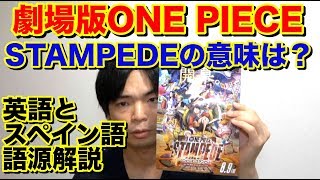 【劇場版ONE PIECE】 Stampede「スタンピード」ってどういう意味？【語源解説】