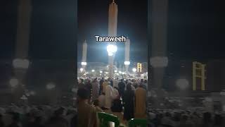 Madinah Haram Masjid Al Nabawi Madina Al Munawarah Taraweeh Prayer Imam Sheikh Abdullah Buayjaan