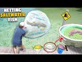 Netting Tons of FISH for my NATIVE SALTWATER POND!!