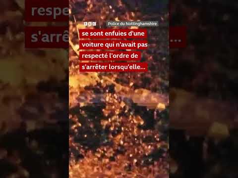 🦮 🚨 Un chien policier trouve un suspect dans une poubelle