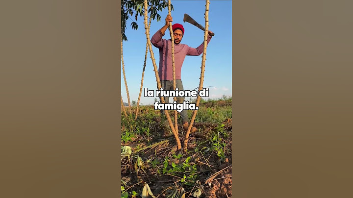 Ho salvato la vita di mia madre e questo ha distrutto la nostra famiglia.