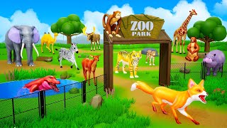 Zoo Animals Vs Cunning Fox - Elephant Tiger Zebra Deer Monkey Bear Giraffe Crocodile Camel