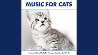 Video thumbnail of "Music for Cats - Music For Cats"