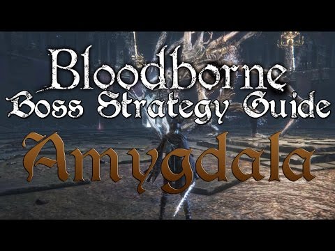 Video: Bloodborne: Wie Man Amygdala Tötet Und Die Kammerlampe Von Amygdala Anzündet