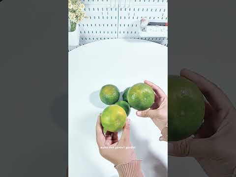 Klik Keranjang Atas Ya Racunshopee