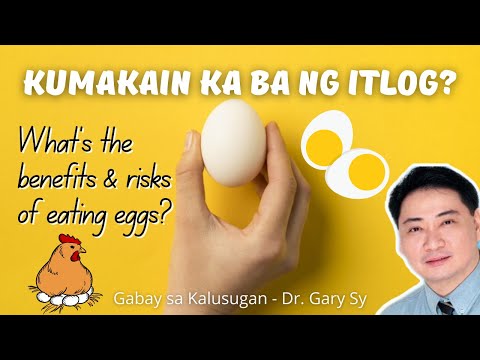 Video: Chicken Egg. Harm Or Benefit?
