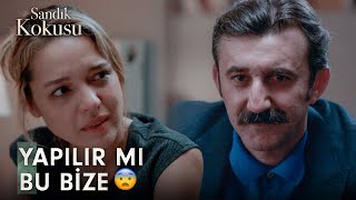 Özkan Kardeşlerin Şeytani Planı 😈 | Sandık Kokusu 19.Bölüm