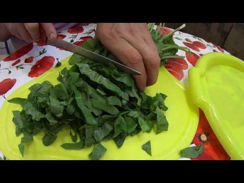 Video: Sorrel Salatları