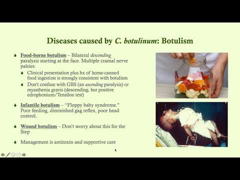 Clostridium botulinum (Botulism) - Microbiology Boot Camp