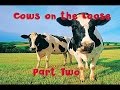 Cows on the Loose | Part Two | The Early Days | Gratass | Little Grey Fergie