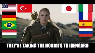 'THEY'RE TAKING THE HOBBITS TO ISENGARD' in Different Languages [LOTR: The Two Towers]