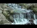 Relaxing music for therapy  calming music for dementia alzheimers health and immune system