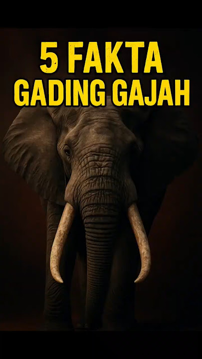 FAKTA MENARIK GADING GAJAH! #gajah #gadinggajah #gajahlucu #gajahputih #faktagajah #belalaigajah