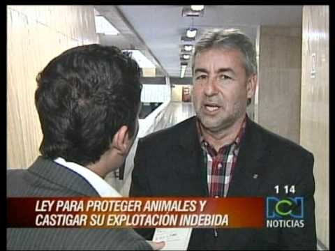 Noticias RCN - Jorge Londoo - Proyecto Proteccin a...