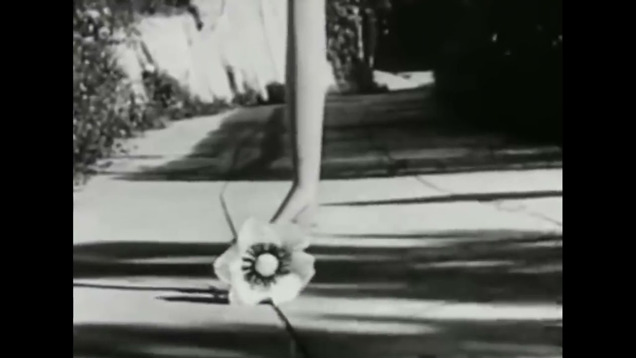 Love's Secret - William Blake [Song] - YouTube