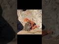 #shorts #monkey #punch #monkeypunch #viral