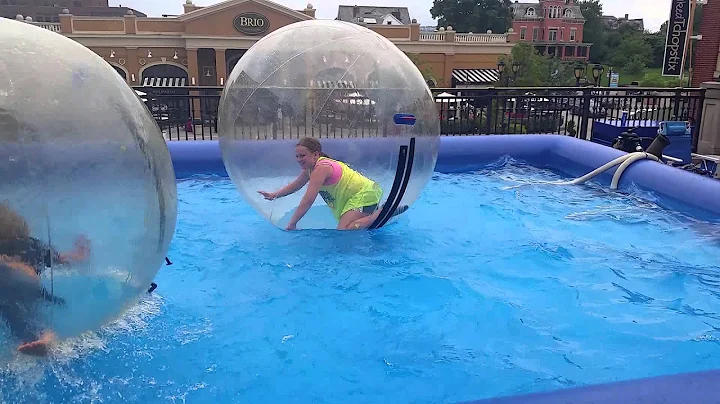 Kaylynn Hamster wheel. 7/3/2014