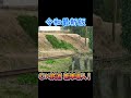 話題のあの会社に新型車が導入されたようです！ #dd51 ? #キハ85 ? #パロディ