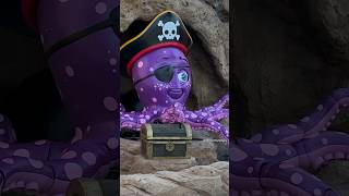 New Pirate Octopus Animatronic testing at Dreamworld!