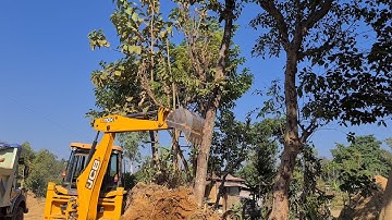 Jcb backhoe machine cleaning land and pushing tree @roadtrendmachinework