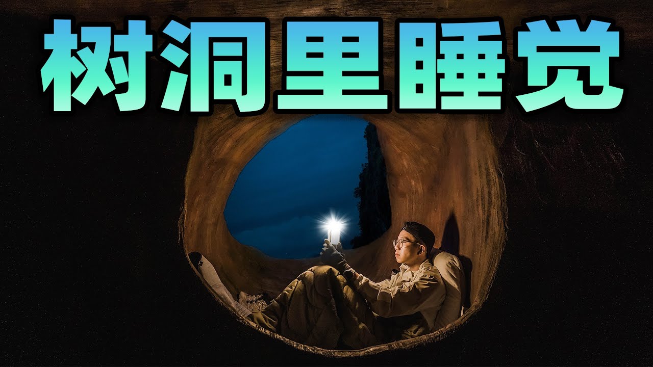 在巨大的树洞里睡觉是什么体验？早上醒来我被眼前的景象震惊了！
