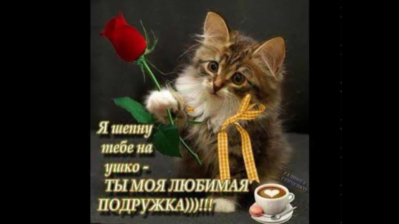 Шепну тебе на ушко. Прошепчу тебе. Шепну тебе на ушко ты моя. Шепну на ушко кот. Пара британцев.