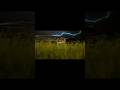 Movie vs Book - which Jurassic park is Scarier?🦕🫣|Unreal engine#animation #cinematic #cinema