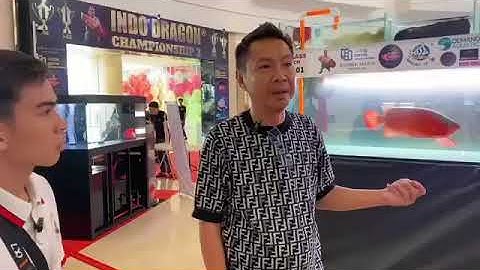 Hệ thống Lọc cho cá rồng ở indo