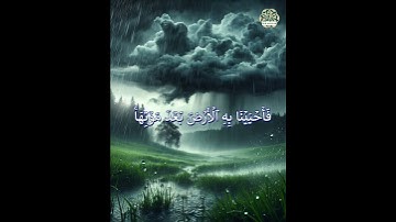 Surah Fatir 9 سورة فاطر      #nuralsalam#miqat01#mehmet #المصحف  #القارئ #اكسبلور