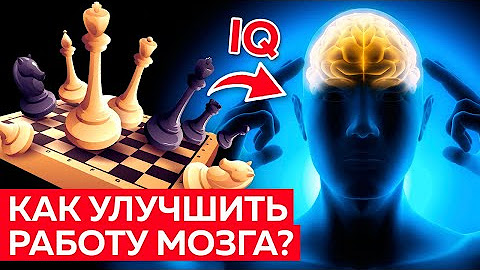Fundamentals of psychology. Сила мозга. Мозг мышление. Практика для мозга. Мозг качается.