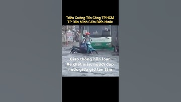 Triều Cường Tấn Công, TP.HCM Oằn Mình Giữa Biển Nước: Giao thông hỗn loạn #trieucuong#tphcm#ngaplut