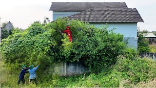 Download Lagu Buried for 10 Years, Reborn in 5 Days — The Abandoned Villa Transformation MP3