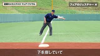 【SSK野球公式】 野球審判講座［4］塁審のメカニクス
