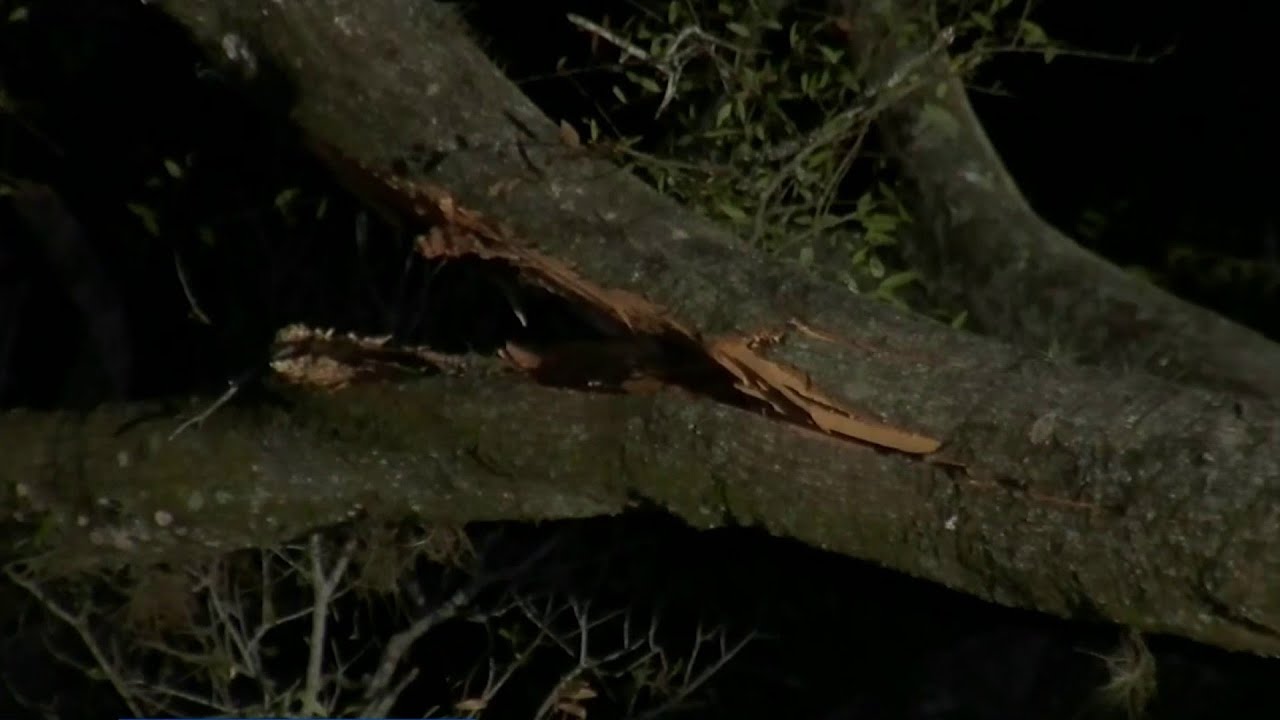 Strong storms rip through Central Florida - YouTube