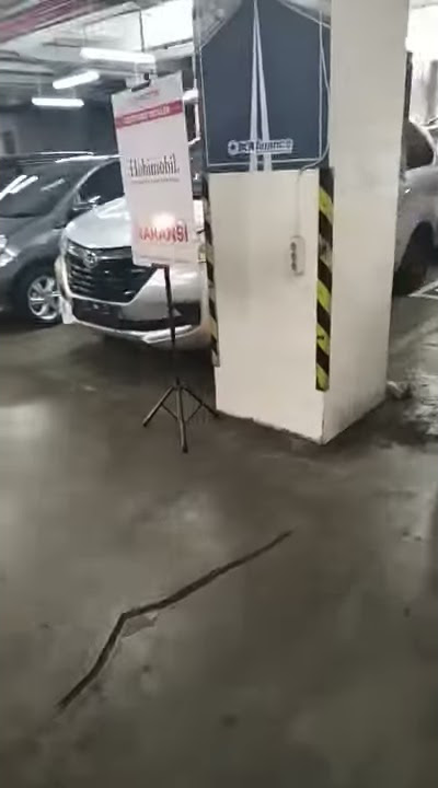 Kucing Berantem Di parkiran mall