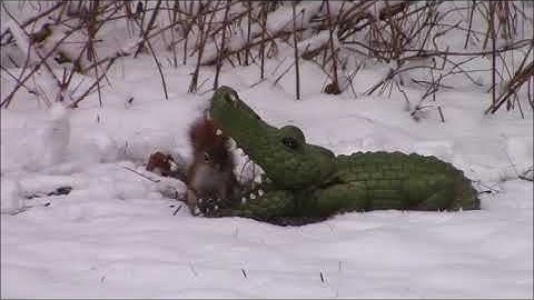 Audio Visual Catnip November 2017