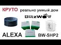 BlitzWolf ОЧЕНЬ умная розетка BW-SHP2 и Amazon ALEXA