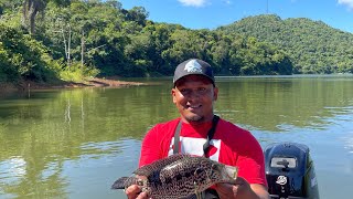 Pesca de Guapotes y Lobinas EN Puerto Rico