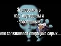 Внезапная эпилепсия, странное поведение итд