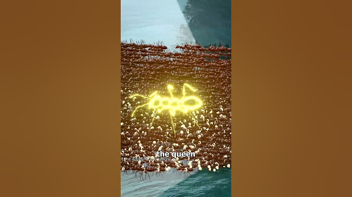 How Ant Colonies Evacuate During Floods 😱 #shorts