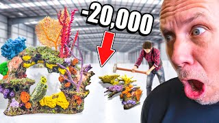 We Destroyed $20,000 of Coral For Nothing!