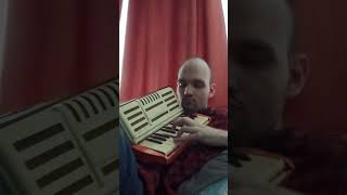 #accordion #akordeon #music #folk #cover Ievan Polkka